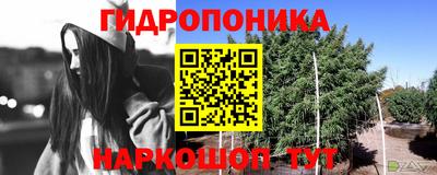 spice Бугуруслан