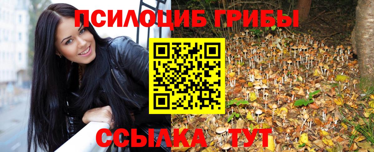 Ногинск  Галлюциногенные грибы MAGIC MUSHROOMS  Вход с VPN 
